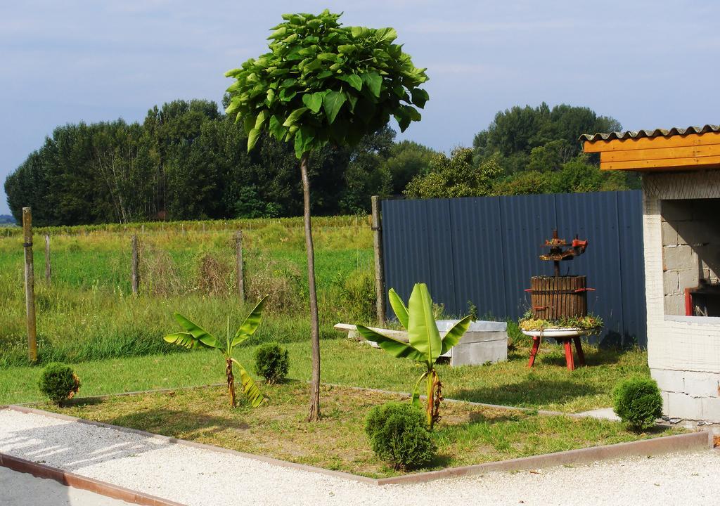 Szerencsecsillag Vendégház Kiskorös Exterior foto