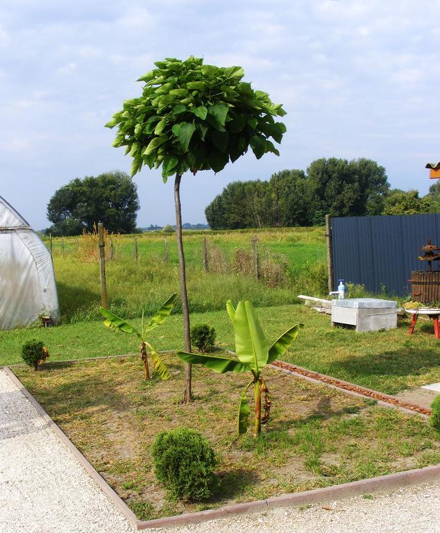 Szerencsecsillag Vendégház Kiskorös Exterior foto