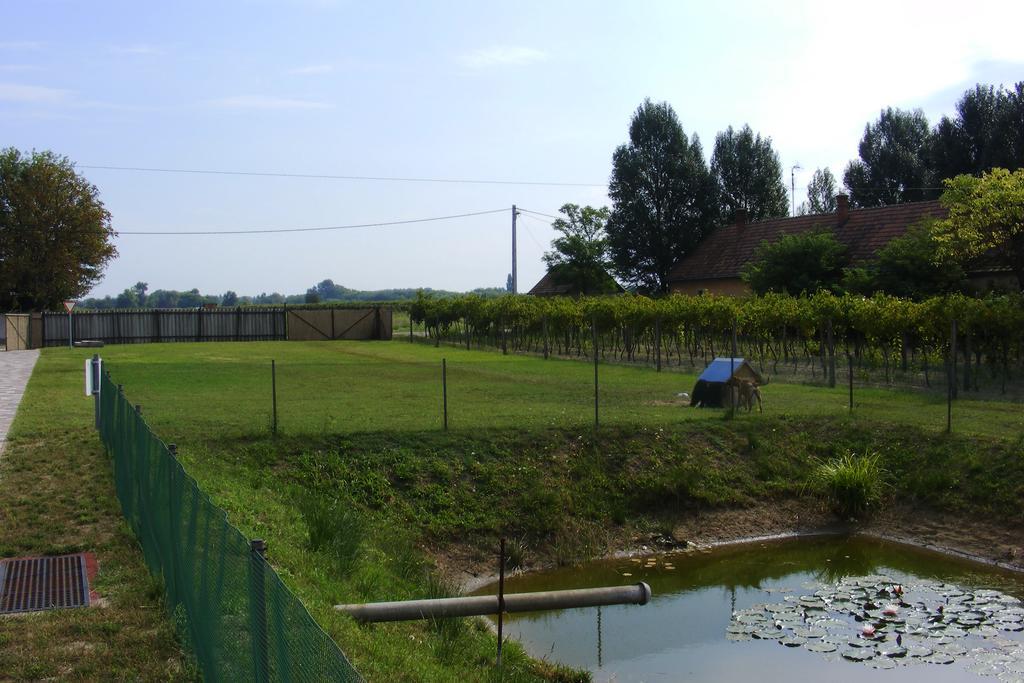 Szerencsecsillag Vendégház Kiskorös Exterior foto